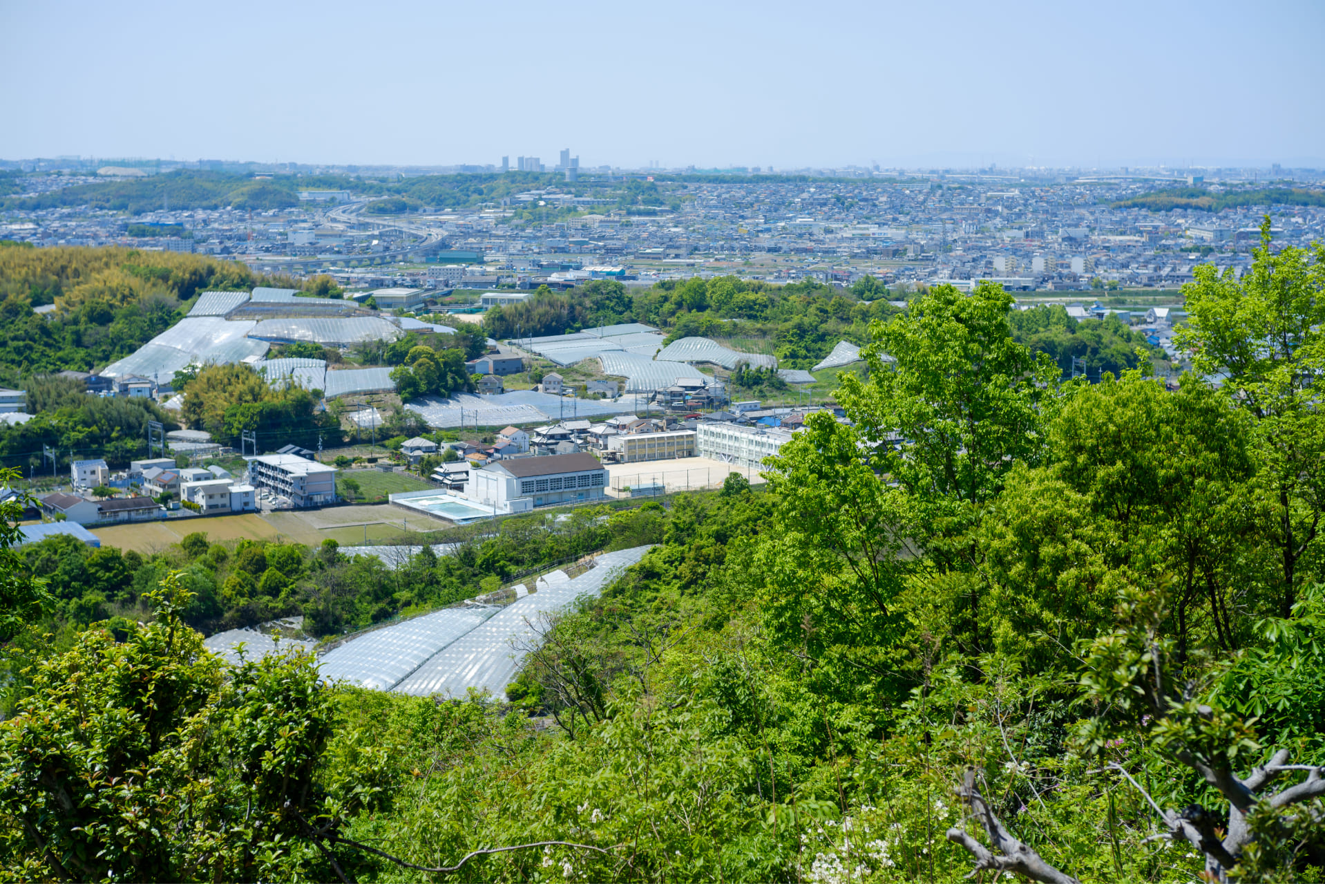 大阪府堺市の俯瞰写真